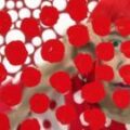In pictures: The dotty world of Japanese artist Yayoi Kusama