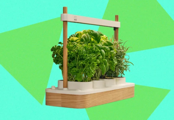 Auk Mini 2 Indoor Smart Garden Review: Better Where It Counts