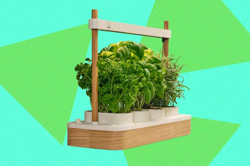 Auk Mini 2 Indoor Smart Garden Review: Better Where It Counts