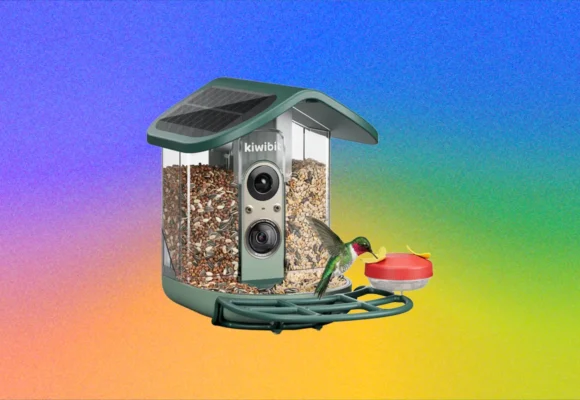 Kiwibit Bird Feeder 2 Pro Review: Premium but Paywalled