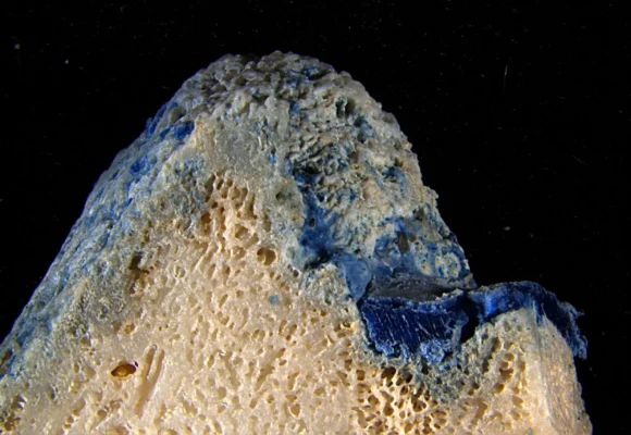 Plastic Is Melting Onto Corals
