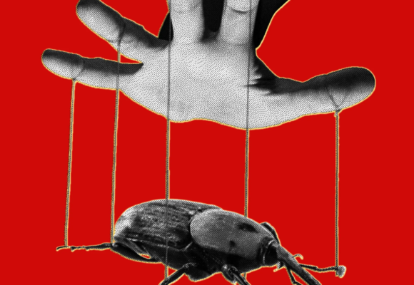 Kernelpanic the php meltdown shows how ai makes bugs more exploitable